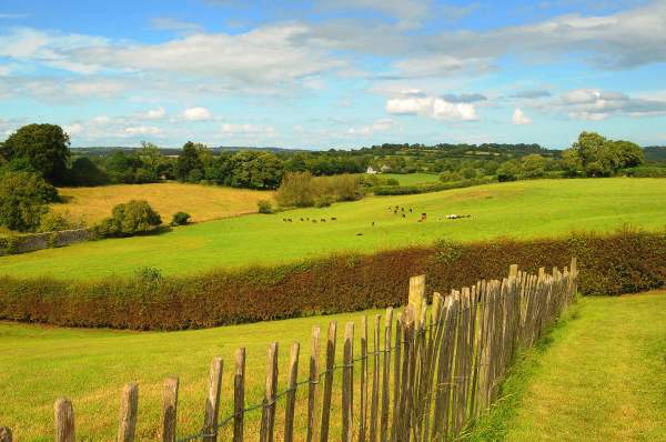 Irish-countryside-@NEWGRANGE-IRELEAND-copy
